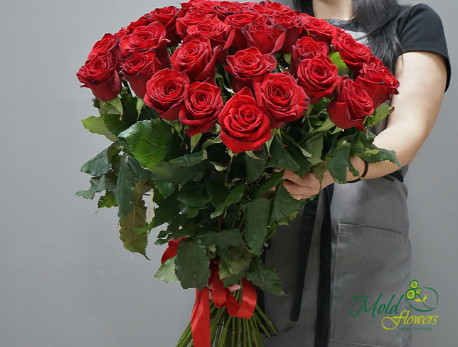 51 Красная роза голландская 60-70 см Фото